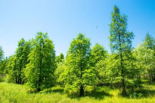 微米生物：餐廚垃圾長久堆放產(chǎn)生什么可怕后果？