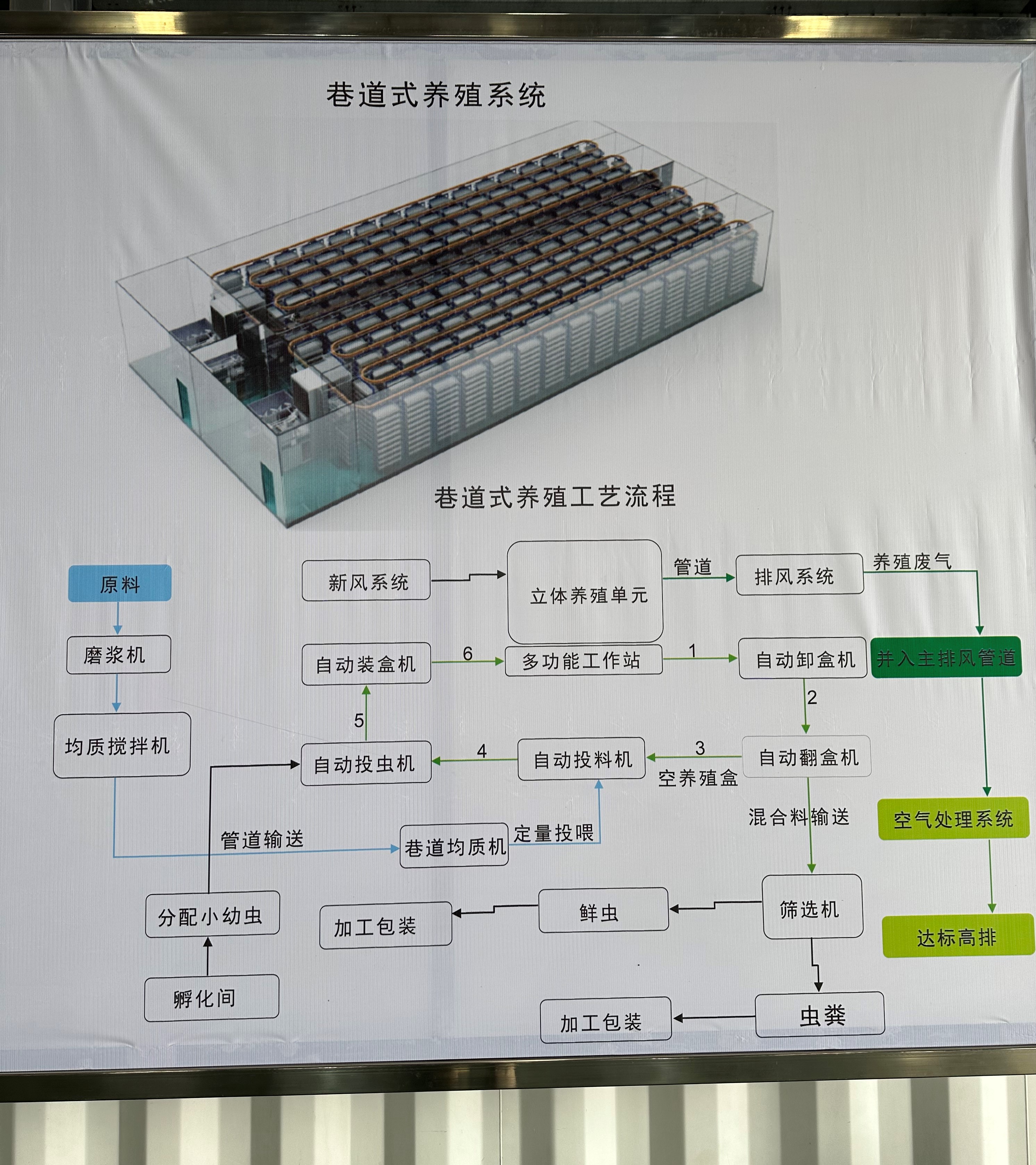 黑水虻處理餐廚垃圾的方法和優勢是什么？